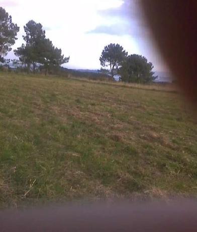 Terreno en bastelas -cercias, km 1 photo 2