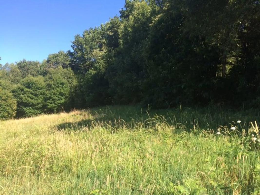 Terreno en venta en Laracha, A Coruña photo 2