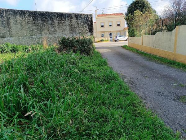 Terreno en Tallo, 9 photo 4