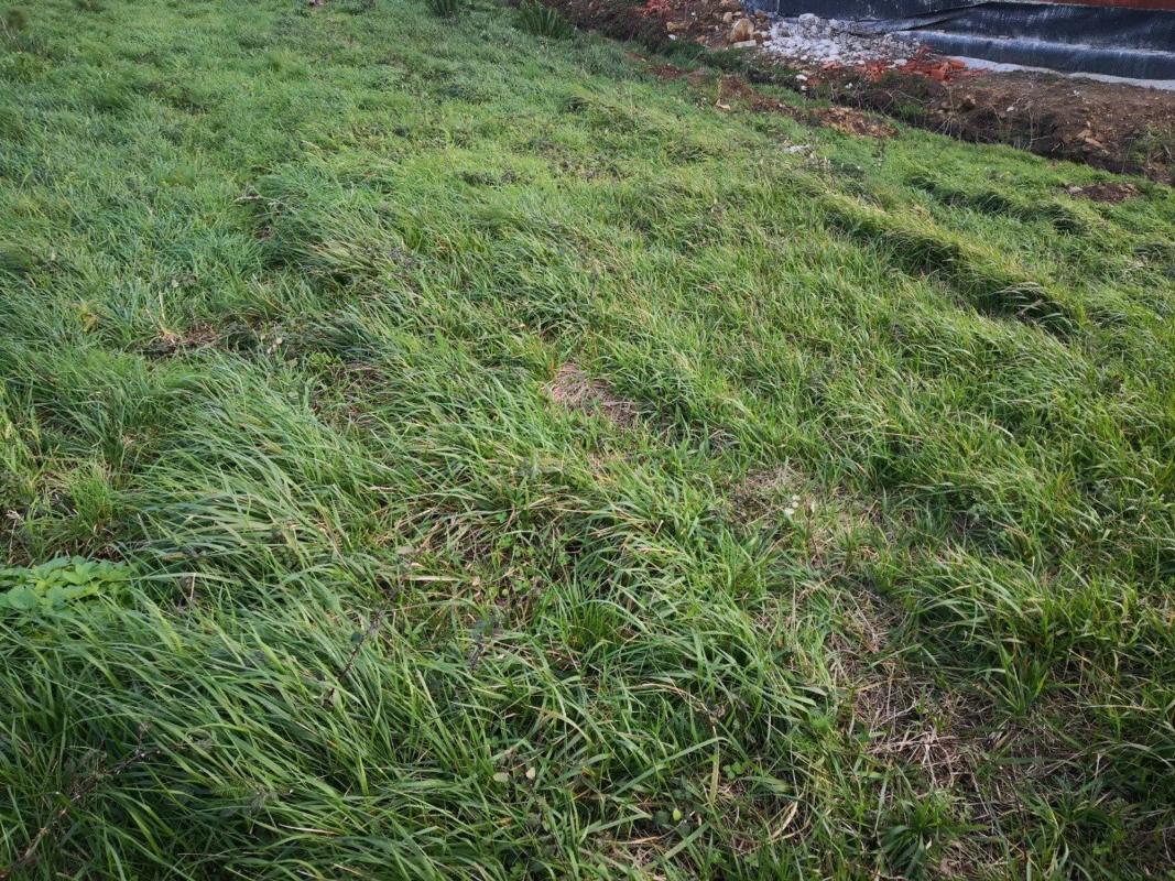Terreno en venta en Malpica de Bergantiños, A Coruña photo 4