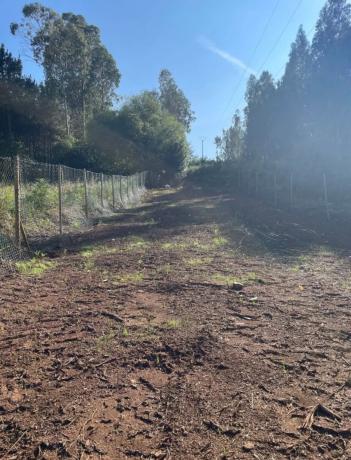 Terreno en camino Lugar Xoane, 171 photo 2