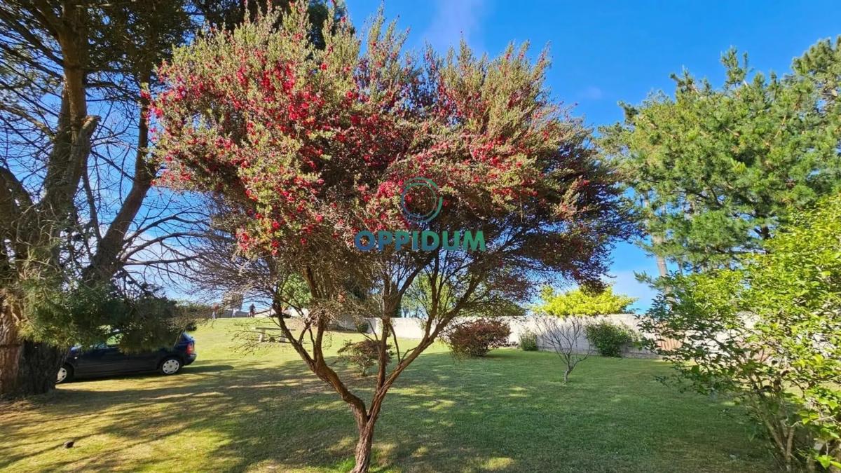 Terreno en venta en Carballo, A Coruña photo 4
