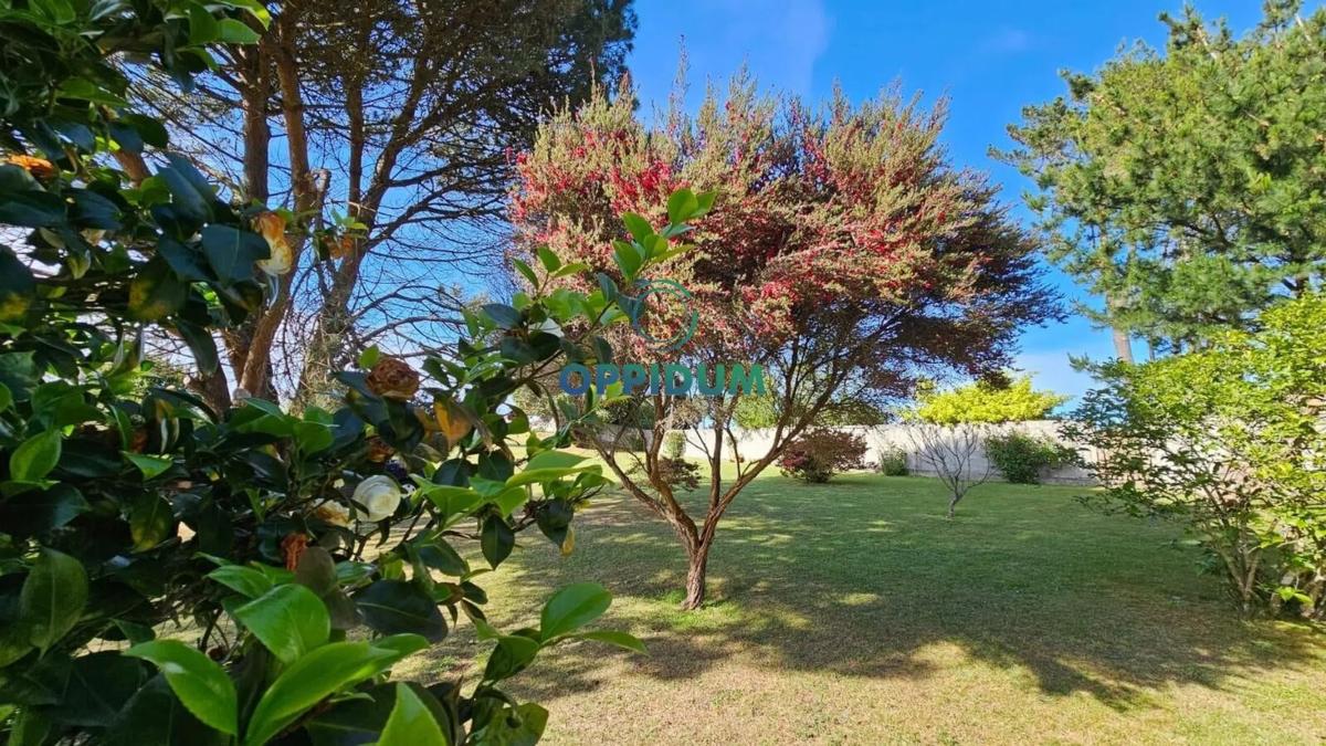 Terreno en venta en Carballo, A Coruña photo 5