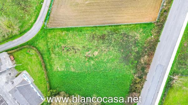 Terreno en Carballo photo 3