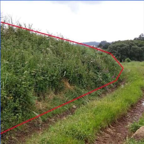 Terreno en Carballo photo 2