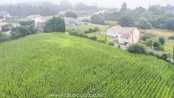 Terreno en Laracha photo 3