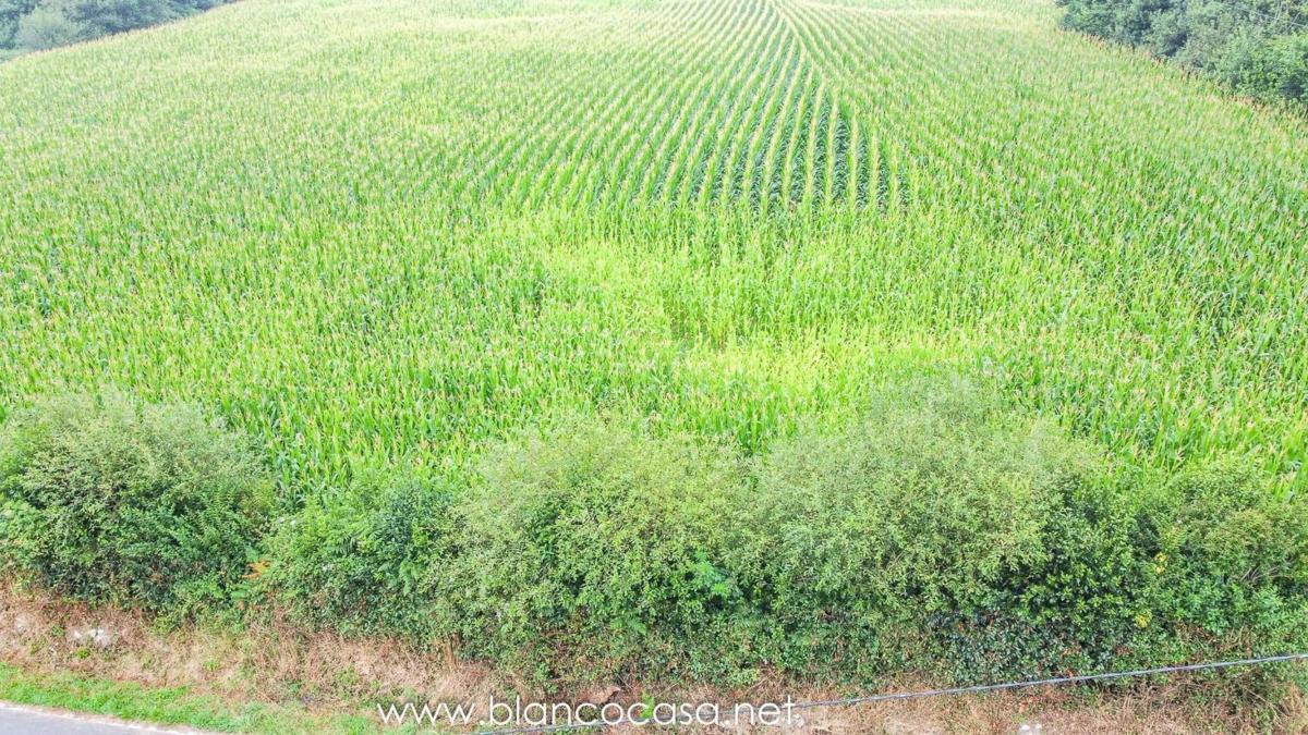 Участок земли на продажу в Ларача, Ла-Коруня photo 4
