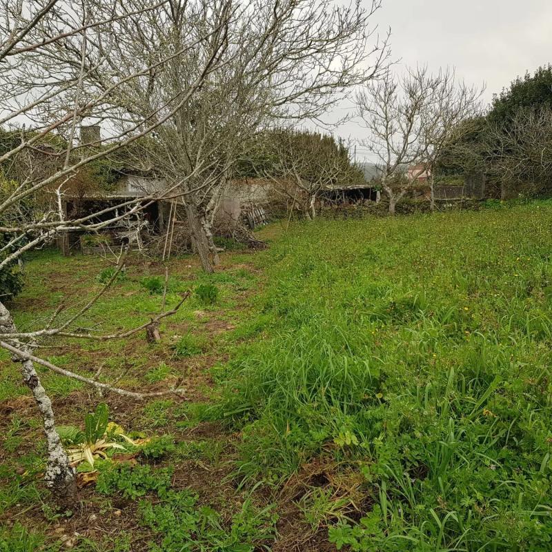 Terreno en venta en Malpica de Bergantiños, A Coruña photo 2