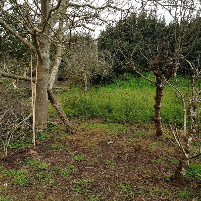 Terreno en venta en Malpica de Bergantiños, A Coruña photo 3