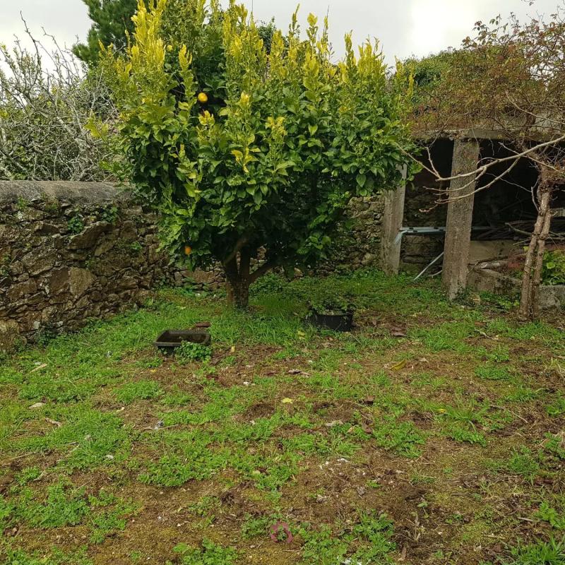 Terreno en venta en Malpica de Bergantiños, A Coruña photo 4