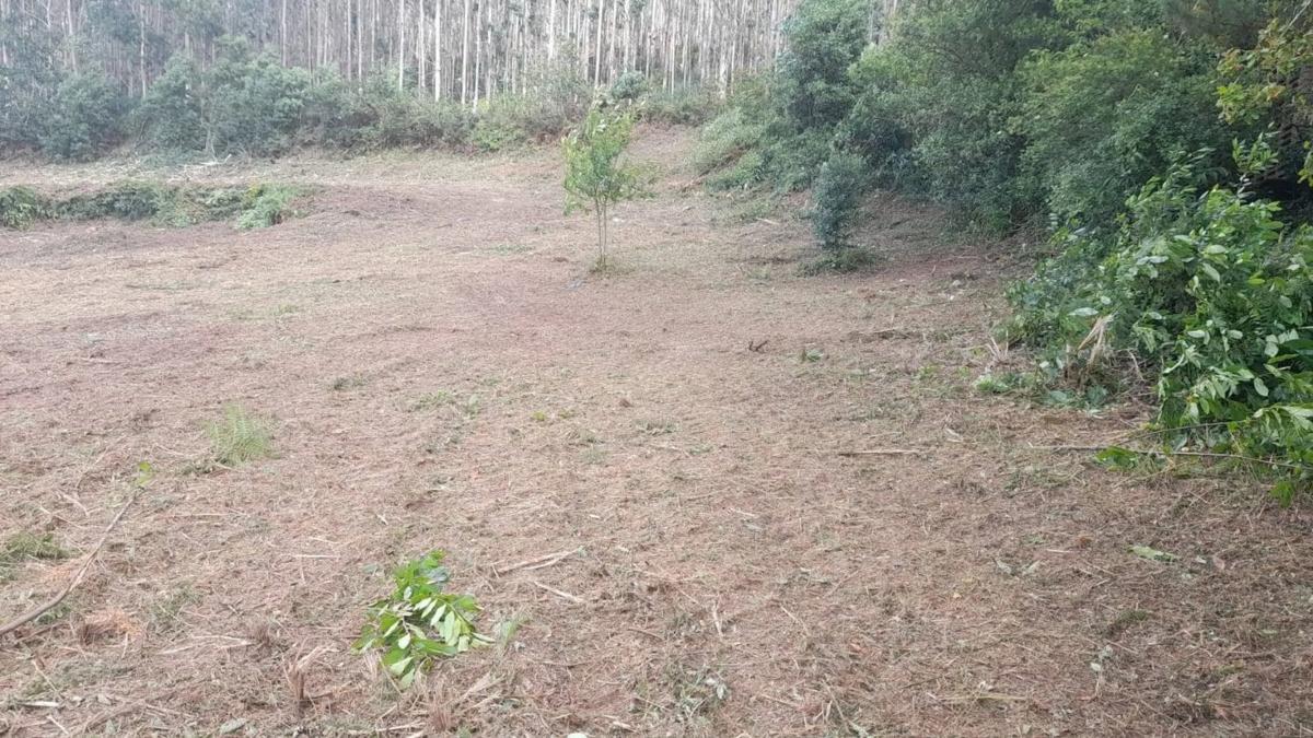 Terreno en venta en Cabana de Bergantiños, A Coruña photo 1