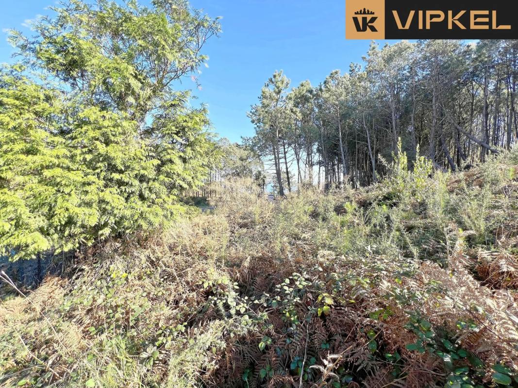 Terreno en venta en Carballo, A Coruña photo 1