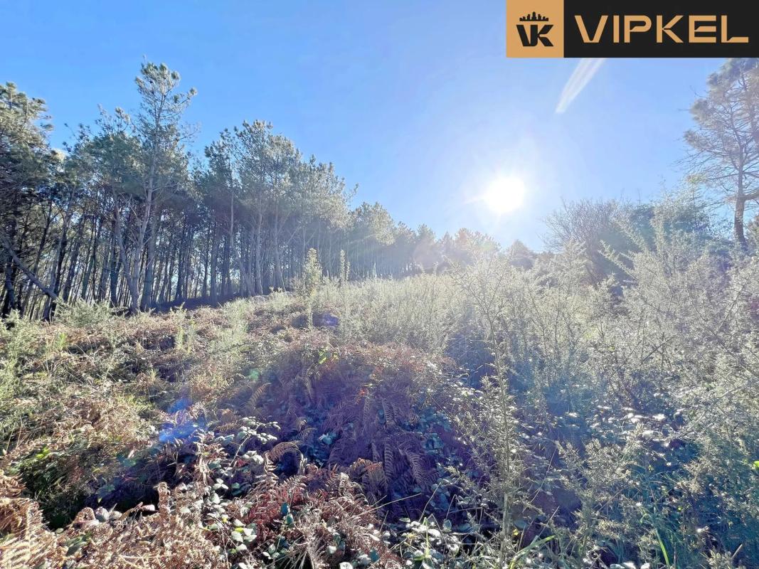 Terreno en venta en Carballo, A Coruña photo 3