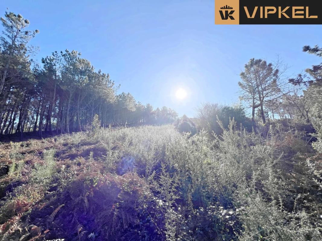 Terreno en venta en Carballo, A Coruña photo 5