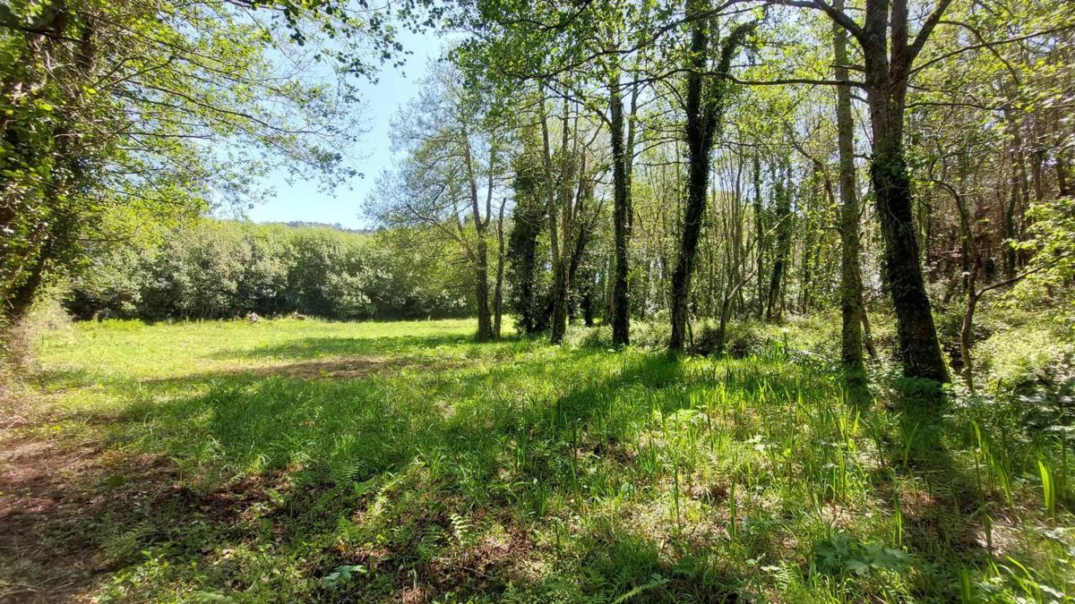 Terreno en venta en Laxe, A Coruña photo 2