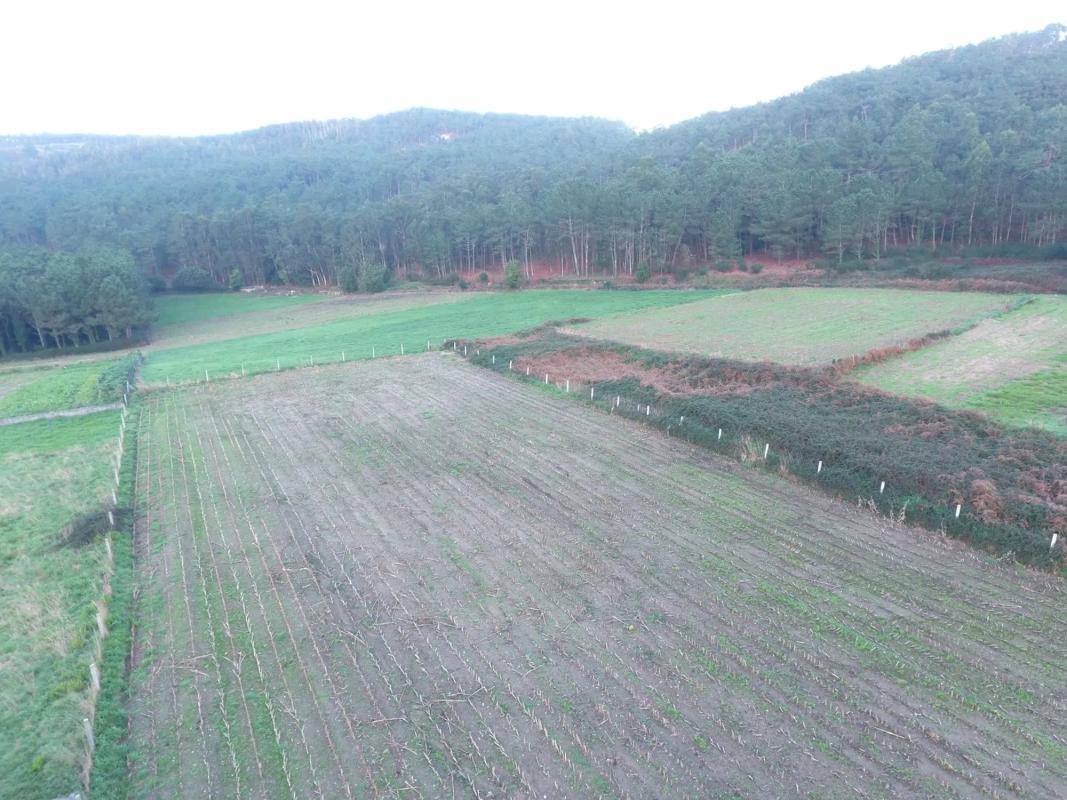 Terreno en venta en Laxe, A Coruña photo 5
