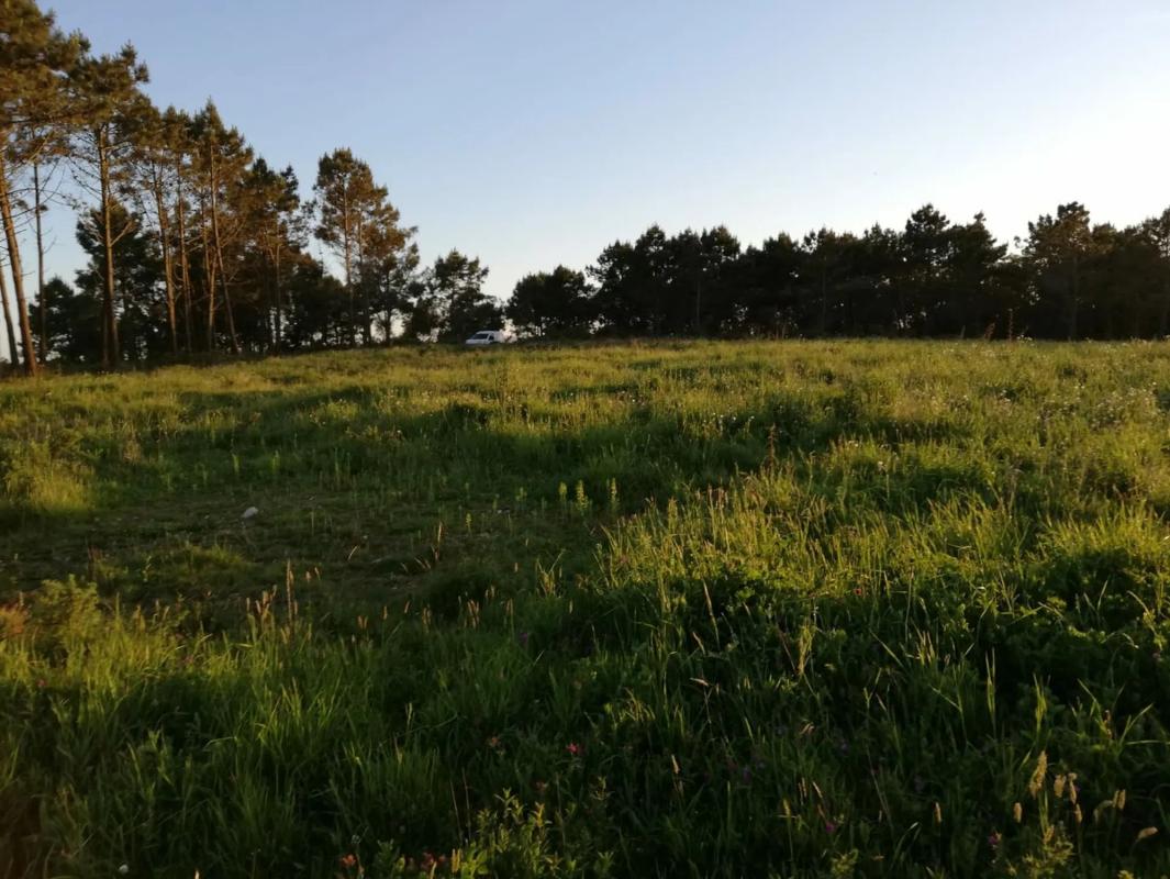 Terreno en venta en Carballo, A Coruña photo 3