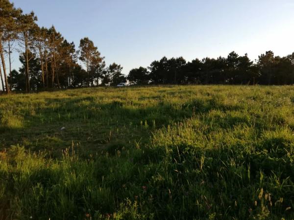 Terreno en baldayo s/n photo 3