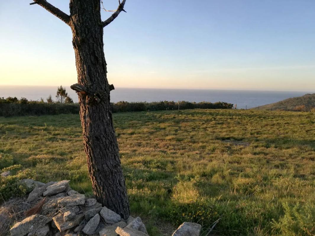 Terreno en venta en Carballo, A Coruña photo 4