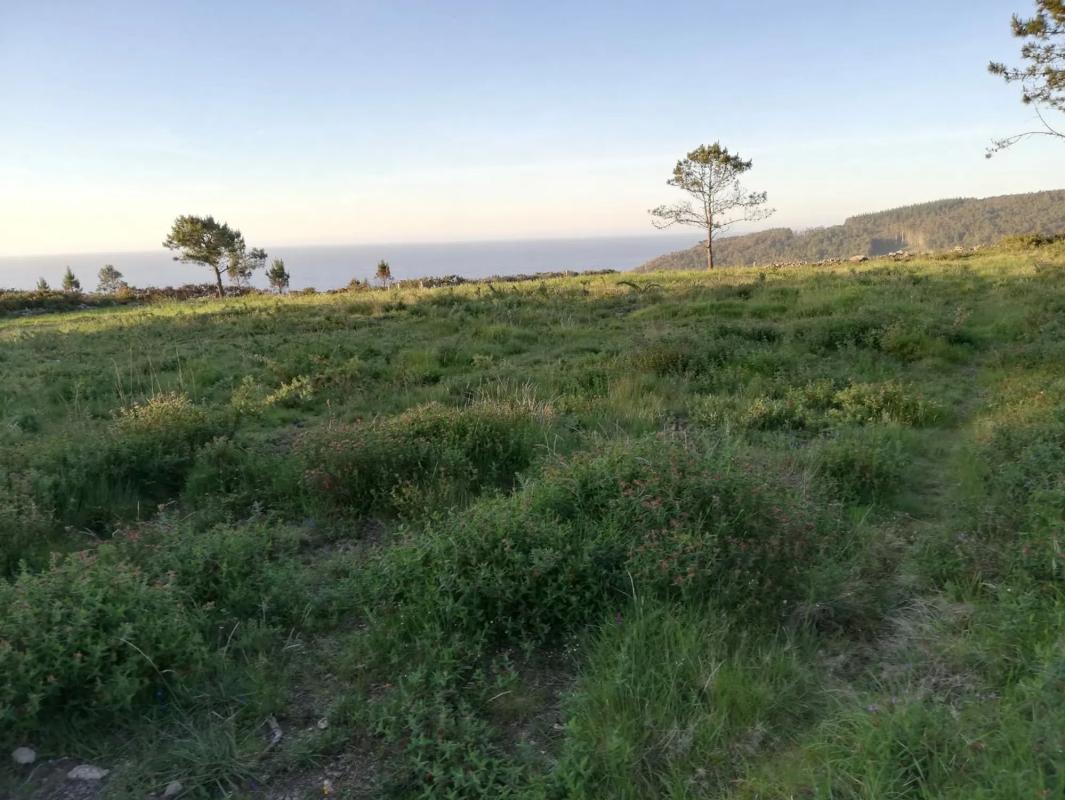 Terreno en venta en Carballo, A Coruña photo 5