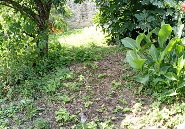 Terreno en Noicela s/n Sn photo 3