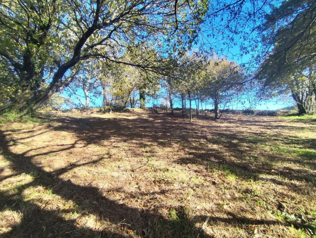 Land for sale in Laracha, A Coruña photo 3