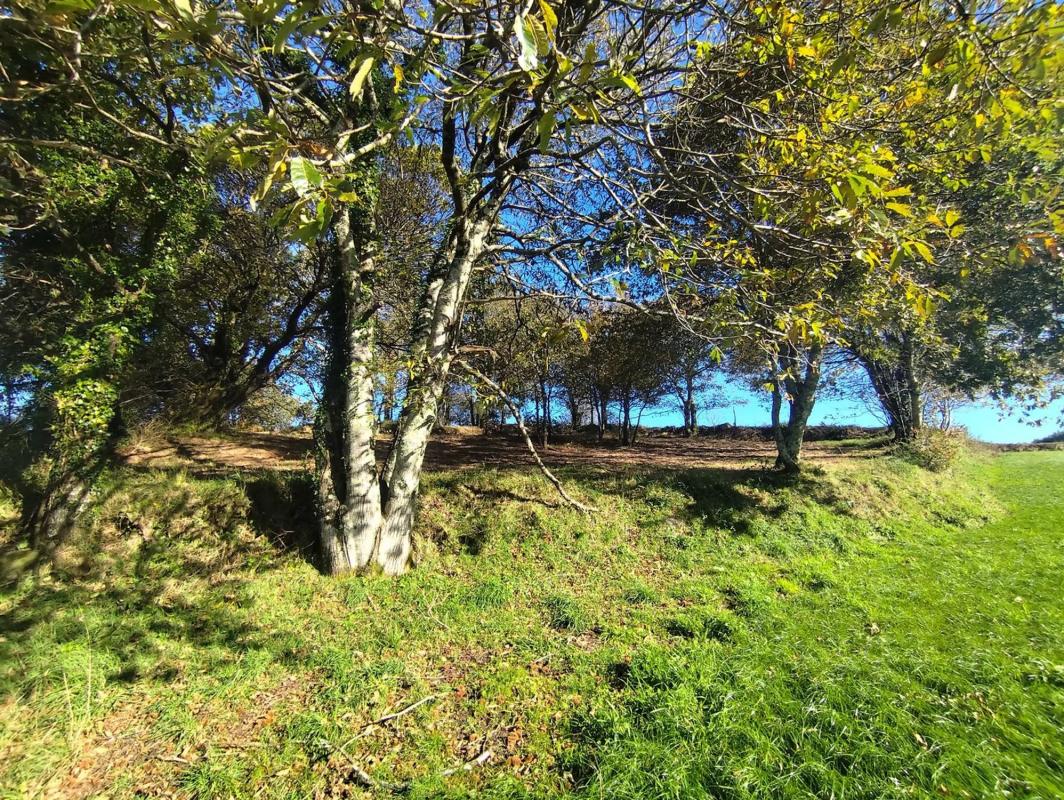 Land for sale in Laracha, A Coruña photo 4