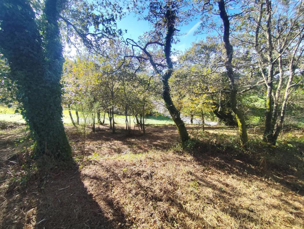Land for sale in Laracha, A Coruña photo 5