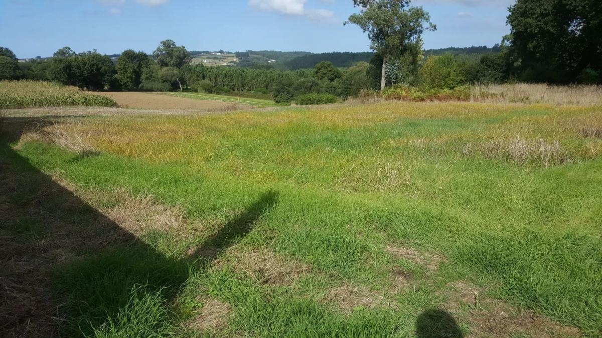 Terreno en venta en Carballo, A Coruña photo 3