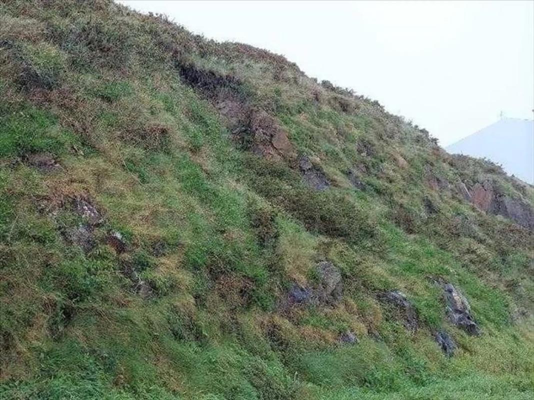 Terreno en venta en Malpica de Bergantiños, A Coruña photo 2