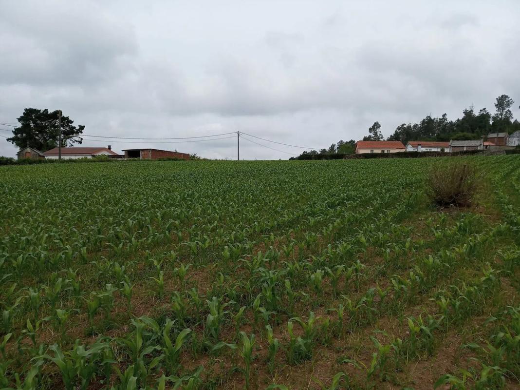 Działka na sprzedaż w Karbaljo, A Coruña photo 2
