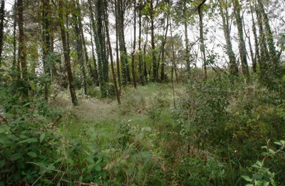 Terreno en venta en Ponteceso, A Coruña photo 3
