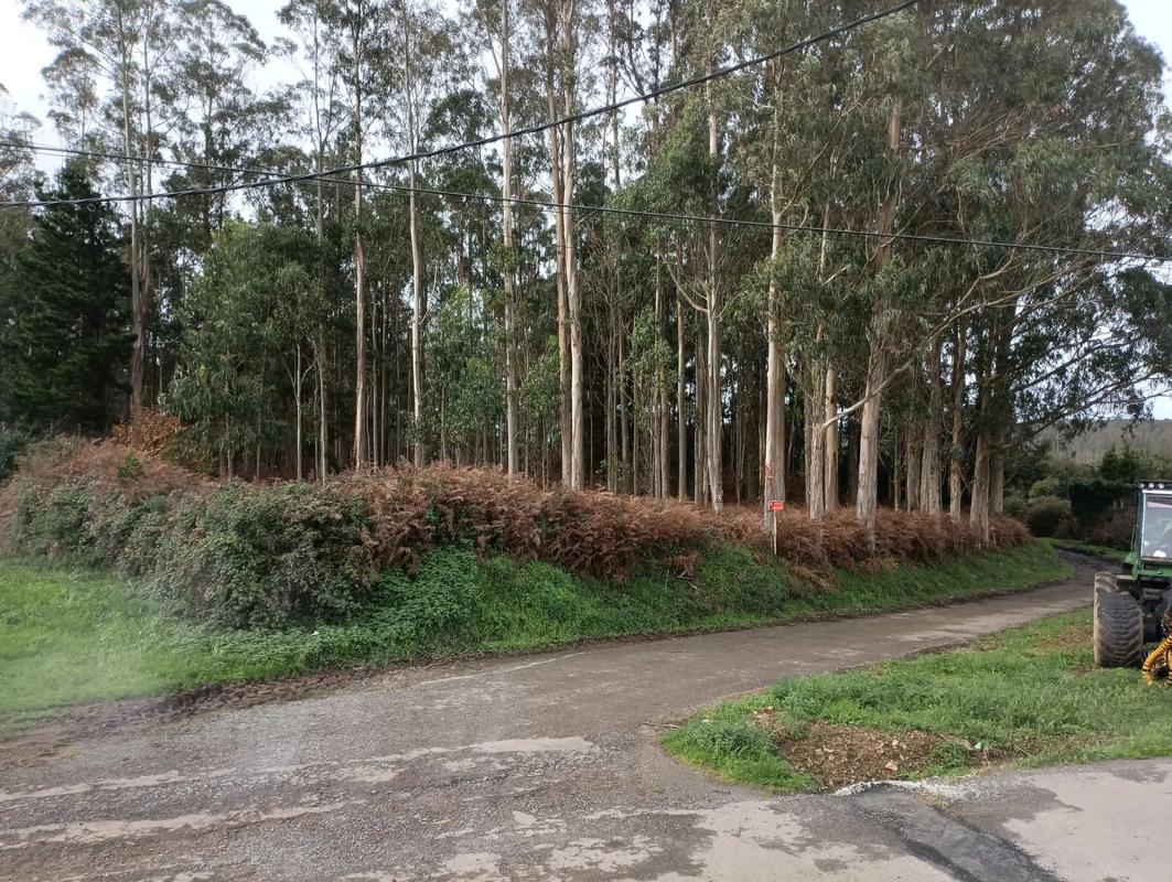 Terreno en venta en Malpica de Bergantiños, A Coruña photo 3