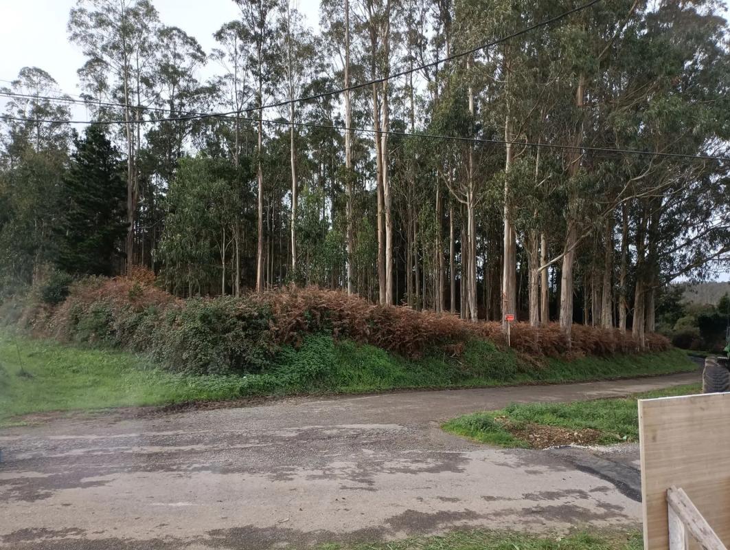 Terreno en venta en Malpica de Bergantiños, A Coruña photo 5