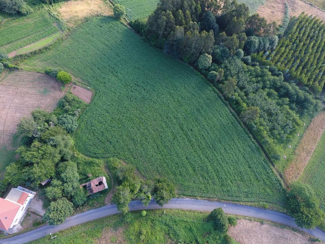 Terreno en venta en Carballo, A Coruña photo 2