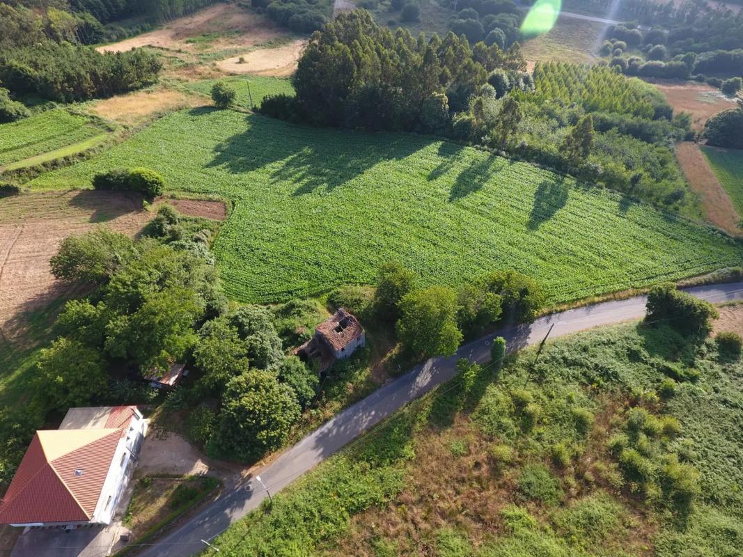 Terreno en venta en Carballo, A Coruña photo 3