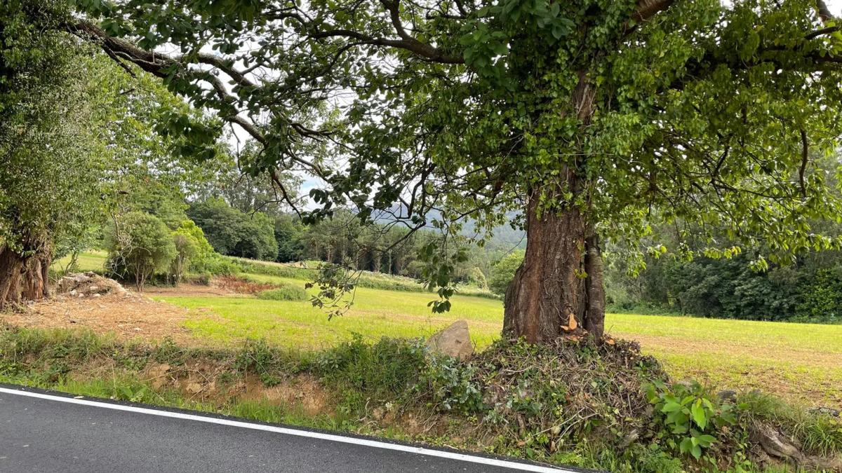 Terreno en venta en Carballo, A Coruña photo 5