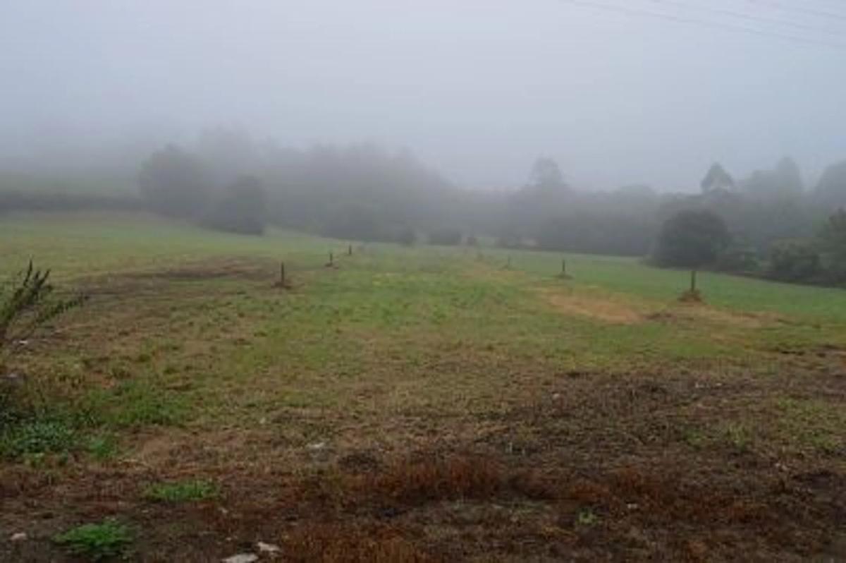 Land for sale in Laracha, A Coruña photo 5