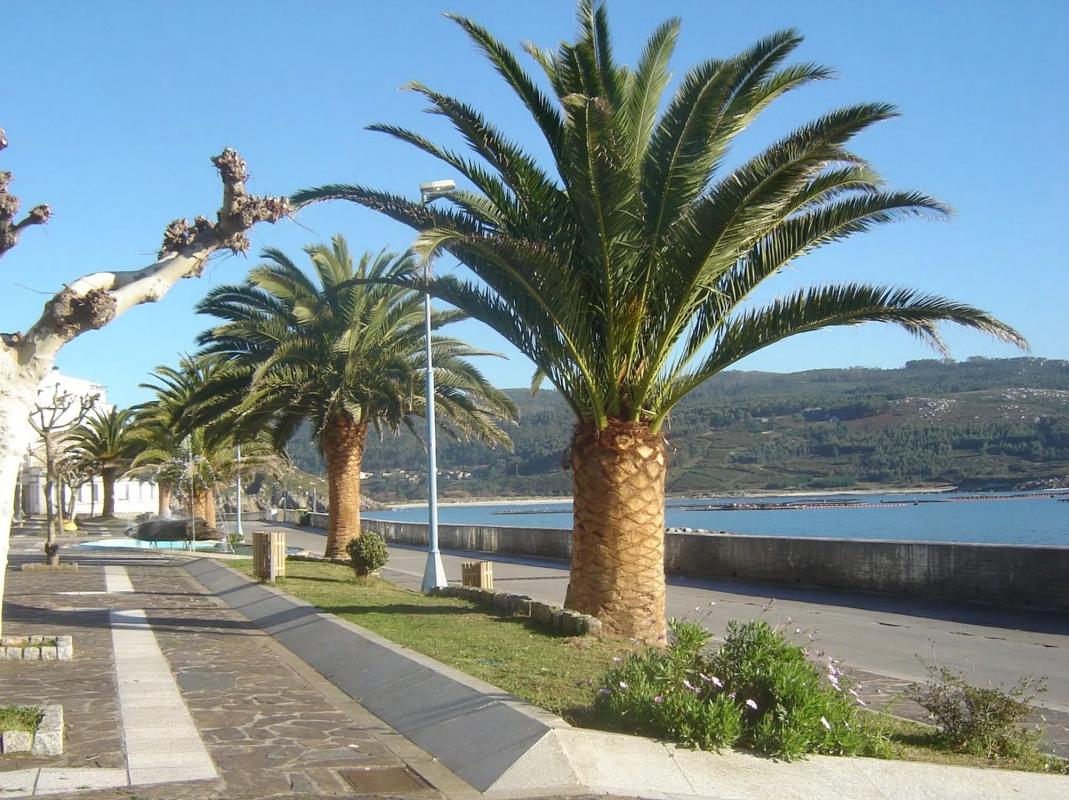 Land for sale in Ponteceso, A Coruña photo 5