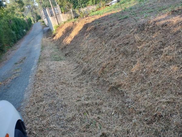 Terreno en Marfulo s/n photo 3