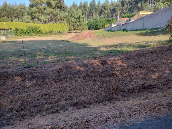 Terreno en Marfulo s/n photo 4