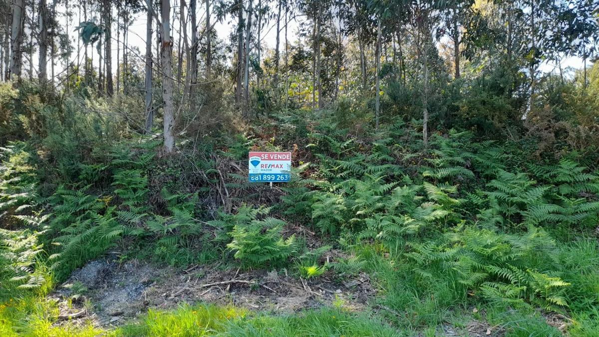 Terreno en venta en Laracha, A Coruña photo 2