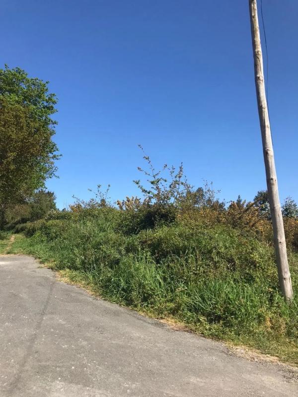 Land for sale in Laracha, A Coruña photo 3