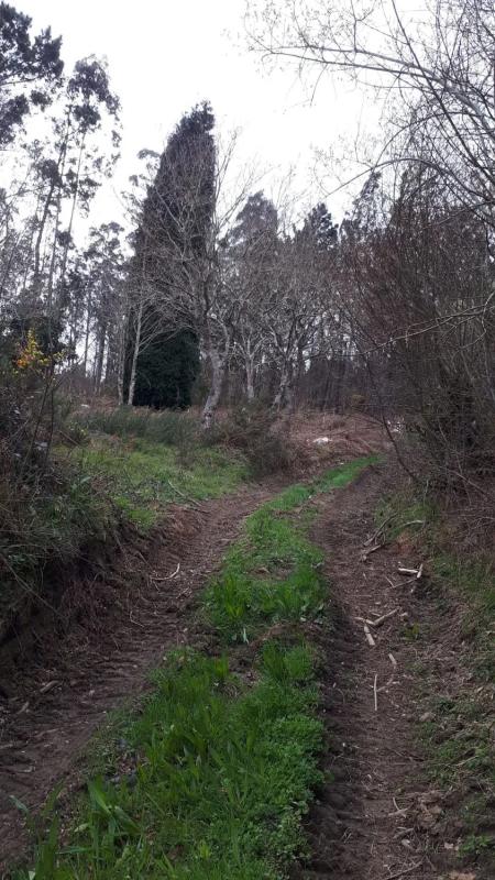 Land for sale in Laracha, A Coruña photo 3