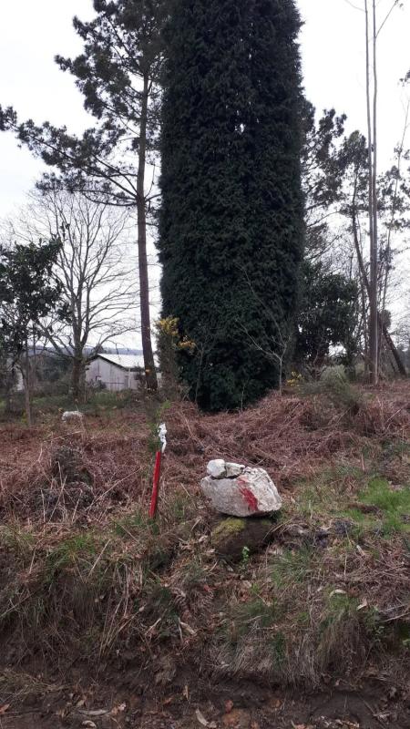 Land for sale in Laracha, A Coruña photo 4