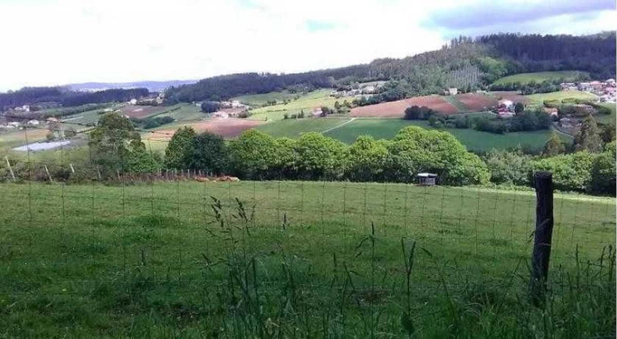 Terreno en venta en Laracha, A Coruña photo 3