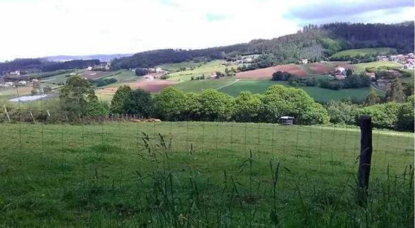 Terreno en souto s/n photo 3