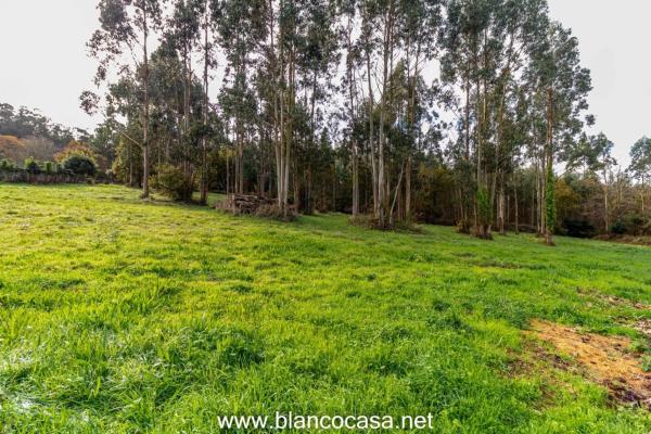 Terreno en Coristanco photo 4