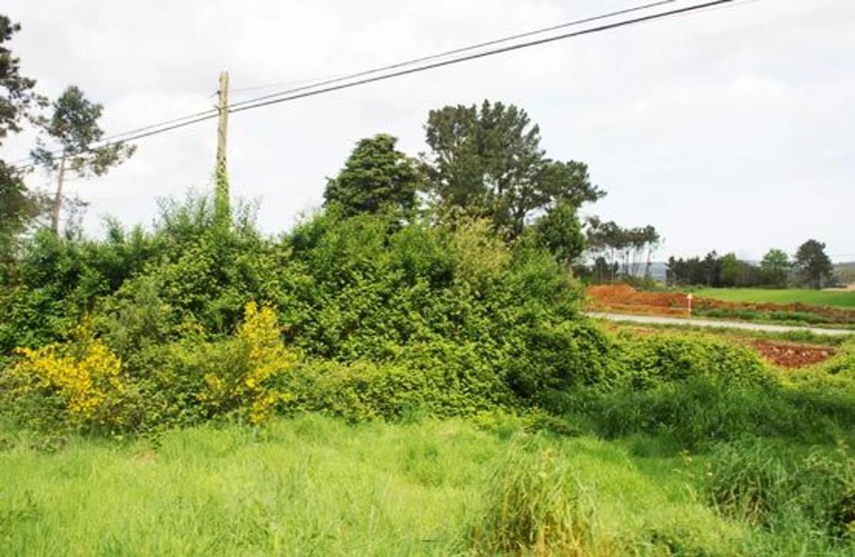 Terreno en venta en Ponteceso, A Coruña photo 3