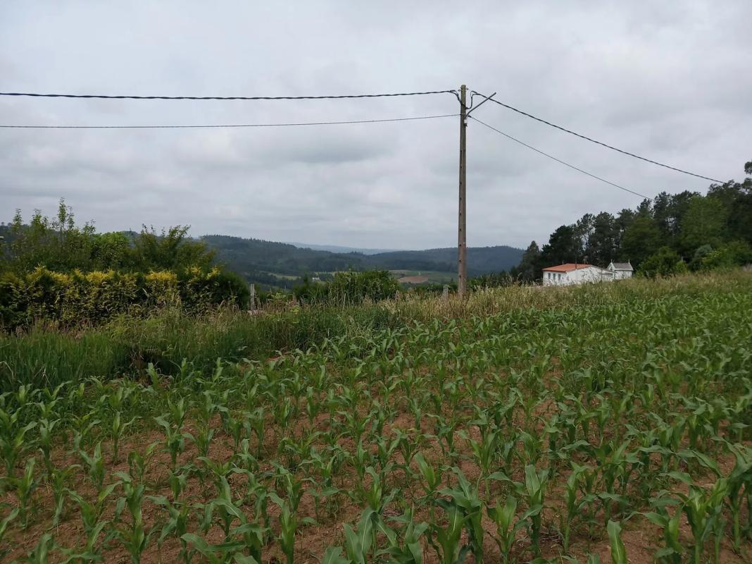 Terreno en venta en Carballo, A Coruña photo 2